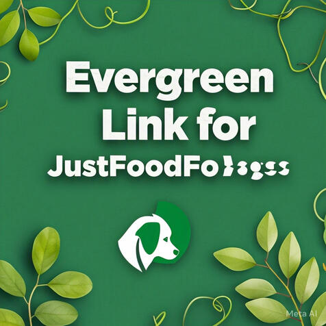 Healthy Dogs Food